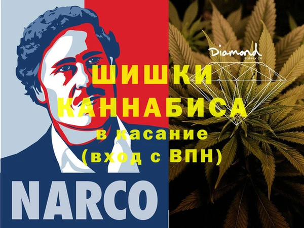 гидропоника Горняк