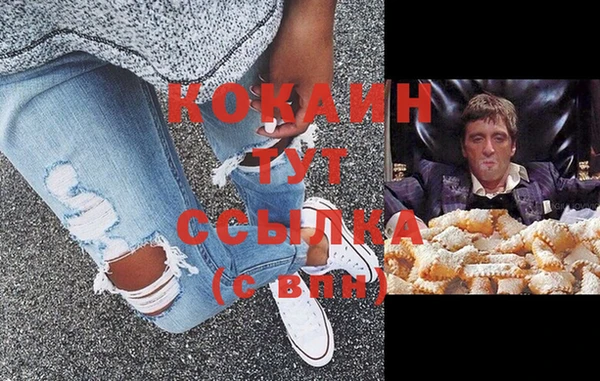 крисы Горно-Алтайск