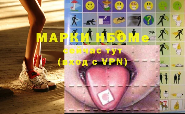гидропоника Горняк
