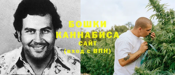 гидропоника Горняк