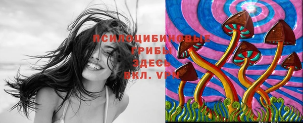 гидропоника Горняк